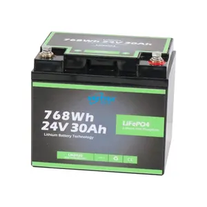 Batteries lifepo4 12v 24v, 20ah 30ah pour véhicule golf, livraison directe