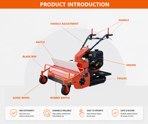 Tondeuse autoportée la <span class=keywords><strong>moins</strong></span> chère pour jardin et ferme, désherbeur et broyeur de paille avec certification CE EPA, à vendre - Product Image 6