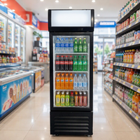 Réfrigérateur commercial pour boissons avec éclairage LED, contrôleur numérique, porte vitrée simple, réfrigérateur vertical pour café