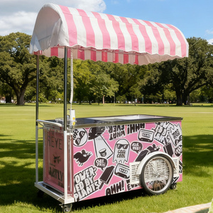 Chariot de Glaces et Sorbets Moderne Entièrement Équipé pour la Vente de Produits Glacés Durables - Product Image 1