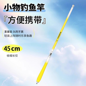 Small Fishing Rod 2M Stream Rod For Freshwater Fish Lightweight Portable Kids Beginner Set - Product Image 1
