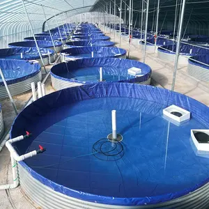 Werkseitig angepasste Fische und Garnelen und eine Krabbe RAS Tilapia Landwirtschaft Fischerei Aquakultur System Ausrüstung Landwirtschaft Tanks