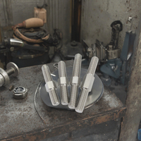 Attaches à tige filetée à double tête en acier inoxydable 304/316 avec finition en zinc M8 M12 M16 M20 Boulons à vis double face