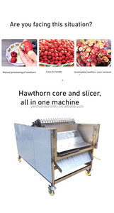 Trancheuse à graines d'aubépine entièrement automatique Nouvel équipement ménager pour éplucher les fruits secs et les noix avec composant moteur central - Product Image 3