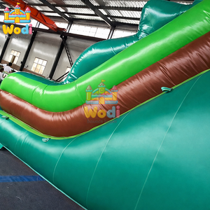 Tobogán Acuático Inflable y Casa de Brinco Combinados, Juego Húmedo/Seco con <span class=keywords><strong>Piscina</strong></span> para Diversión de Verano en el Patio Trasero - Product Image 4