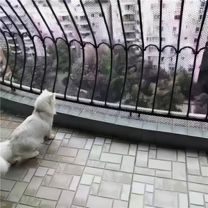 ตาข่ายพลาสติกสีขาวสำหรับไก่พรีเมี่ยม - Product Image 4