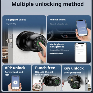 Slimme toegangsdeurvergrendelingen met toetsenbord, buisvormig, van aluminiumlegering, Tuya app, cloud, digitale deurknoppen voor appartement, kantoor en thuisgebruik. - Product Image 2