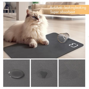 Tapete Rectangular Absorbente de Tierra de Diatomeas Antideslizante para Mascotas, para Perros y Gatos, para Dormir y Entrenar, 35x50 45x60 50x70 - Product Image 3