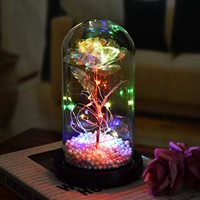 Dropshipping Dekorasi Hadiah Hari Ibu 2021 Hadiah CINTA Penutup Kaca Lampu Led Diawetkan Bunga Mawar Abadi Dalam Tabung Kaca