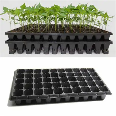 200 zellen plug kunststoff samenschalen mango pflanze vermehrung pflanzen schalen kunststoff kinderzimmer