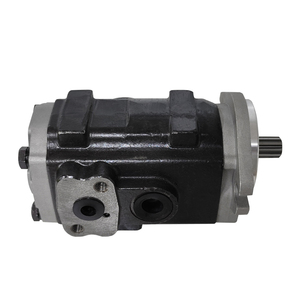 Lifthydrau Gabelstapler-Dieselpumpe Nenndruck Doppel-Gabelstapler-Teil Hydraulische Zahnradpumpe - Product Image 1