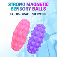Balles sensorielles en silicone texturé magnétique, jouets anti-stress souples à presser en rose et violet pour le jeu tactile