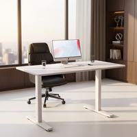 Cadre de bureau électrique économique à moteur unique, réglable en hauteur sur 2 niveaux, base de bureau assis-debout, pied biseauté noir