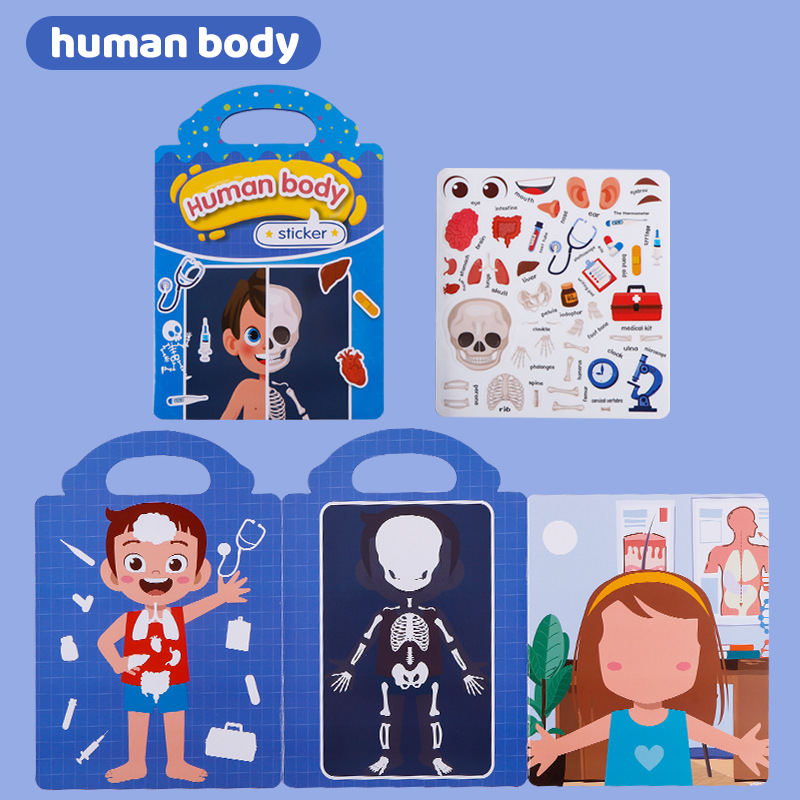 human body