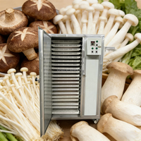 Op maat gemaakte fruit- en groenteverwerkingsapparatuur, mango, banaan, appel, citroen, fruitdroger, dehydrator