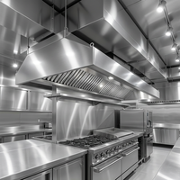 Campana Extractora Comercial para Cocina de Restaurante, de Acero Inoxidable, con Filtro de Grasa y Luz LED