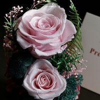 Élégante rose séchée sous cloche en verre, décoration d'intérieur, cadeau pour la Saint-Valentin, la fête des enseignants, souvenir et occasions spéciales
