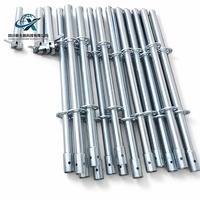 Système d'échafaudage Ringlock, poteau vertical 48,3 mm, acier Q235 galvanisé à chaud, système Ring Lock pour la construction