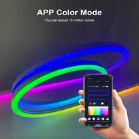 Bande lumineuse LED flexible intelligente RGB WS2812b à commande par application, décoration de jardin de Noël, éclairage extérieur étanche