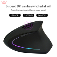 Souris RGB Rechargeable 2.4Ghz + Double Mode BT Sans Fil Souris Ergonomique Verticale Silencieuse pour Windows / IOS / Android