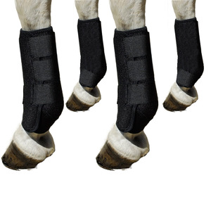 Polainas para caballos anticolisión absorbentes de golpes, equipo de equitación, calentadores ecuestres, arnés para montar a caballo, rodilla - Product Image 2