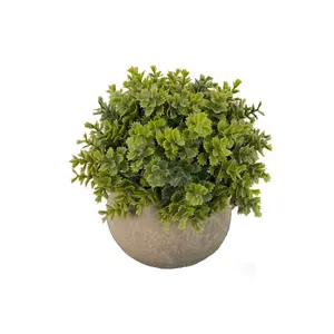 Fabrik Großhandel kleine Bonsai Pflanzen Tisch dekoration Mini Topf