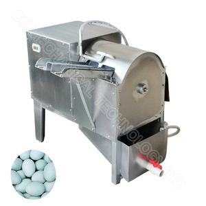 Lavatrice Industriale per Uova, Macchina per Lavaggio e Pulizia - Product Image 5