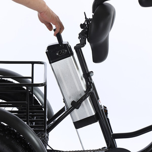 Tricycle électrique à gros pneus 500W, batterie lithium 48V 12Ah, 20 pouces, 3 roues, vélo électrique cargo pour la neige et tous les terrains - Product Image 2
