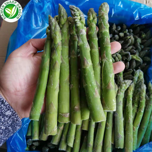 Asperges congelées IQF fournisseur <span class=keywords><strong>d</strong></span>'exportation Nature a Grade graines Chine prix en vrac légumes vert comestible SD asperges en Inde 10 Kg - Product Image 6