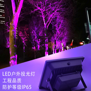 Reflector LED para Exteriores de 30W, IP65 Impermeable, RGB con Cambio de Color, para Árboles, Paisajes, Puentes y Edificios - Product Image 1