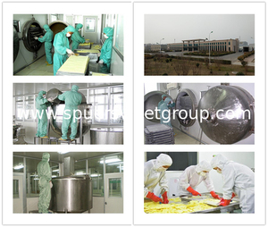Extrait de <span class=keywords><strong>Propolis</strong></span> Brut en Vrac de Qualité Supérieure – <span class=keywords><strong>Prix</strong></span> Compétitif – Frais et Biologique – Fournisseur Direct - Product Image 4