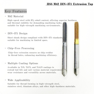 2020 hiệu suất cao M42 CNC chế biến không có chip đùn <span class=keywords><strong>tap</strong></span> <span class=keywords><strong>Die</strong></span> <span class=keywords><strong>Set</strong></span> DIN-371 tiêu chuẩn luồng công cụ lựa chọn tốt nhất cho chính xác - Product Image 2