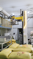 Désengaucheteuse 4 axes pour résine époxy, bras robotisé, robot industriel, 25-120 kg/sac, 100 sacs/h, collecte automatique des déchets, trémie en acier inoxydable