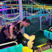 Offre Spéciale : Montagnes Russes Extérieures Crazy Mouse, Équipement d'Attraction à Grande Capacité sur Rail en Acier pour Fêtes Foraines