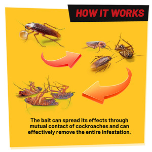 Appât en gel anti-cafards, 1 tube, prêt à l'emploi, design seringue, tue les cafards allemands et américains, lutte antiparasitaire intérieure/extérieure - Product Image 6