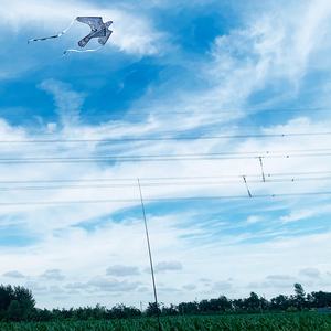 <span class=keywords><strong>Épouvantail</strong></span> Hibou <span class=keywords><strong>Volant</strong></span> Répulsif d'Oiseaux, Répulsif Aviaire, Protecteur de Jardin avec Bande Réfléchissante - Product Image 2