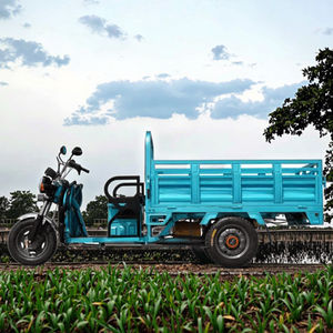 Moteur de moyeu arrière sans balais 60V 1500W, vélo électrique à 3 roues pour adultes, cadre en acier, chariot extensible, vélo <span class=keywords><strong>cargo</strong></span> électrique - Product Image 1