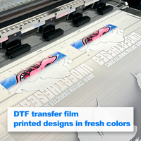 Film Roll DTF 80cm*100m 90cm*100m Satu Sisi Matte Hot Peel untuk Printer DTF Harga Grosir Langsung dari Pabrik