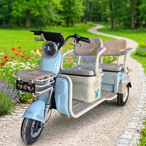 Triciclo de Acero de Tres Ruedas para Adultos, 48V, con Motor sin Escobillas de 3 Velocidades, Alcance de 60 km, Batería de Plomo-Ácido de 60 km, Apto para Personas Mayores - Product Image 1