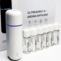 Logo personnalisé Mini USB rechargeable Portable électrique CE Nano Brume Diffuseur de parfum pour voiture Diffuseur d'arômes ultrasonique