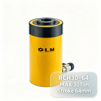 Vérin hydraulique creux GLM Heavy Duty RCH30 64 à simple effet, 30 tonnes, 700 bars, course de 64 mm, pour travaux de tirage et d'entretien