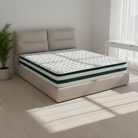 Matelas fin ergonomique et ferme d'excellente qualité pour les maux de dos Tissu respirant pour un meilleur sommeil Matelas