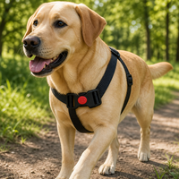 Boucle de sécurité en plastique à dégagement latéral 16mm 20mm 25mm 32mm 38mm Écologique Haute Résistance pour Collier de Chien Harnais Laisse
