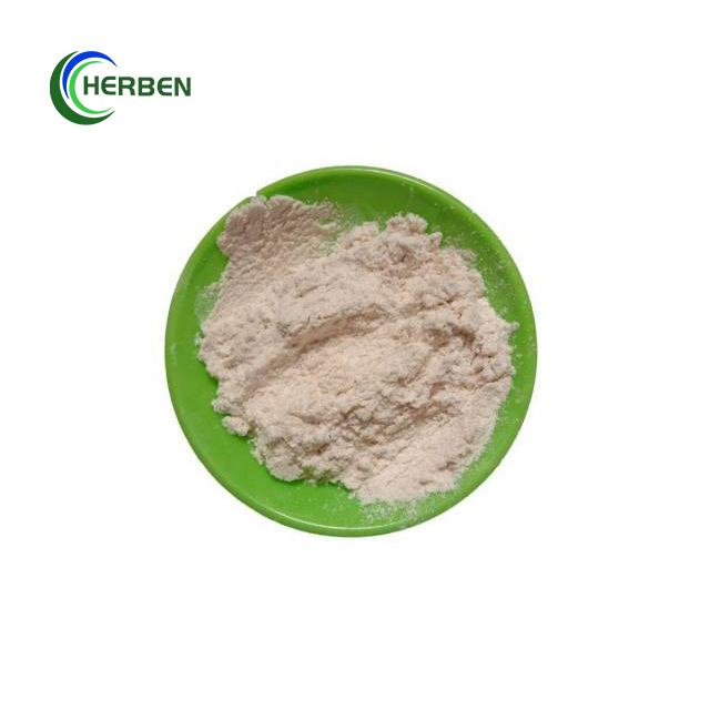 Supply High Activity Enzymes Alpha-Galactosidase Powder