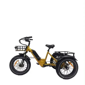 OTMAR远程胖轮胎电动串联人力车成人折叠自行车500W 3轮电动自行车电动三轮车
