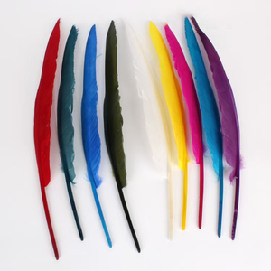 Plumas de Ganso Coloridas para Decoración de Escenarios y Fotografía, Halloween, Carnaval, Navidad, Día de la Independencia, Fiestas, Disfraces y Accesorios - Product Image 2