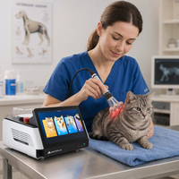 Nueva Máquina de Terapia Física Veterinaria con Láser de Diodo de 980 Nm y 30 W para Alivio del Dolor en Animales