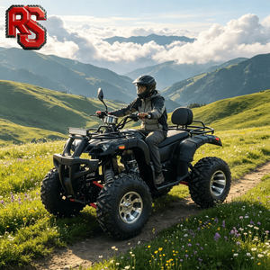 Trenzador Eléctrico Raxen para Cuatrimotos de 250cc con Suspensión Independiente, Ideal para Alquiler en Parques - Product Image 1