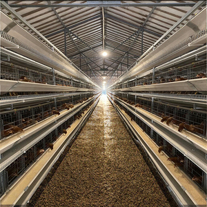 Supply อัตโนมัติอย่างสมบูรณ์วาง <span class=keywords><strong>Hen</strong></span>/ไข่ Layer แบตเตอรี่ H ประเภทกรงไก่ระบบ - Product Image 3