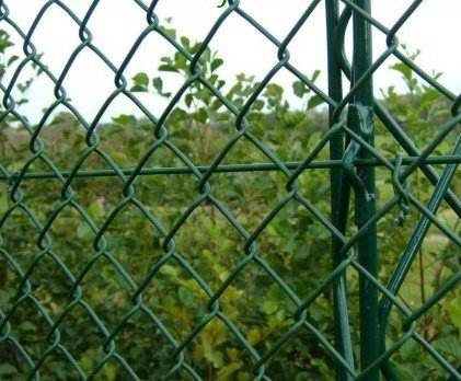 สีเขียวเข้ม